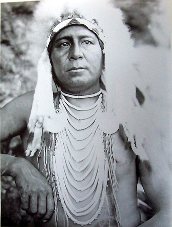 edwardcurtis