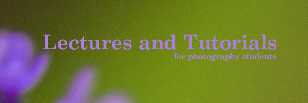 Lectures and tutorials