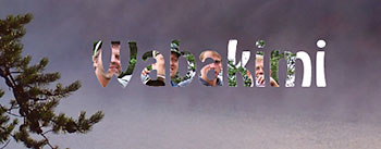 text window example.