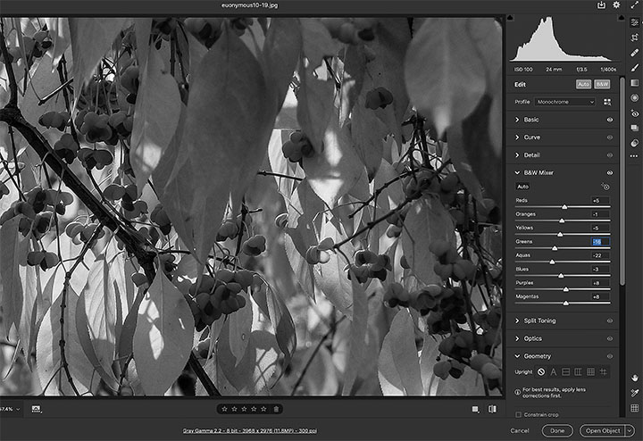 Black and white in Bridge