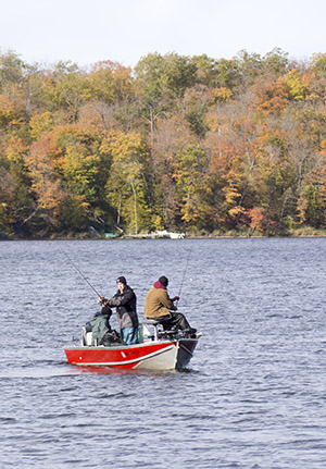 Photo before bokeh treatment.