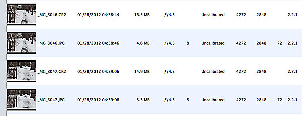 File sizes.