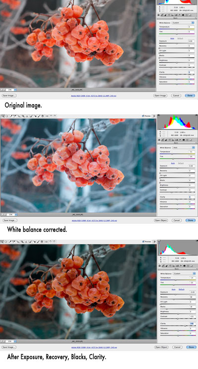 Winter fruit adjustments.
