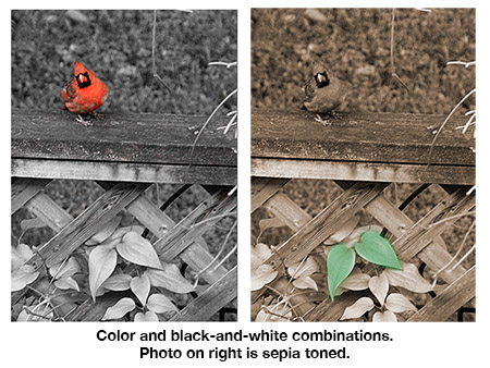 Color and black and white.