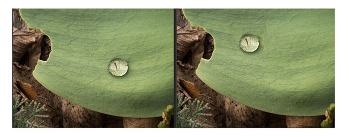 Content aware fill tool