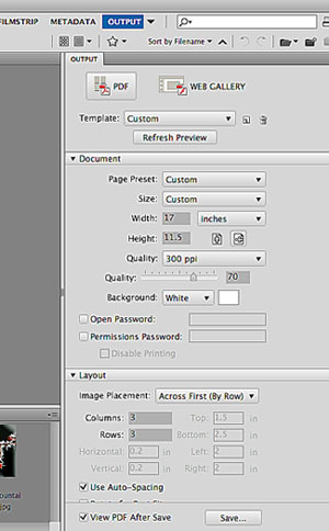 Output panel in Bridge.
