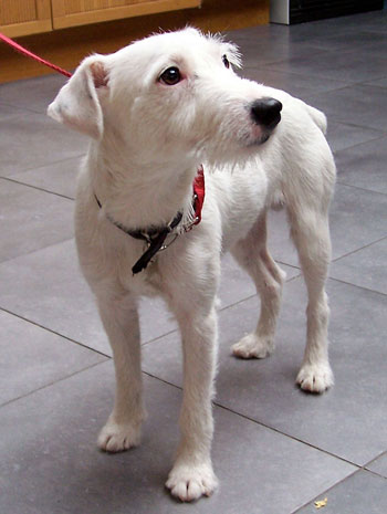 Cluttered background.