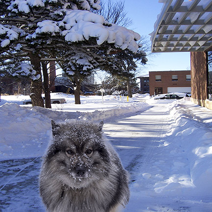 Final composite image.