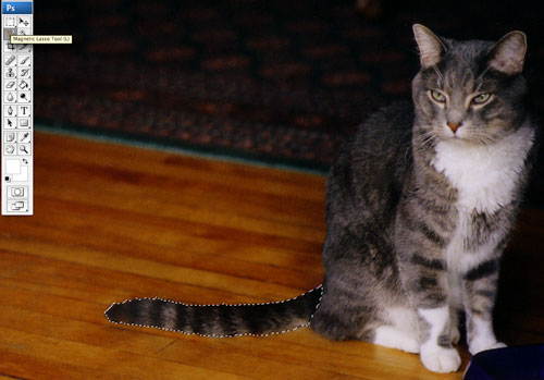 Magnetic lasso illustration