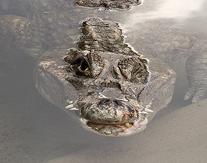 Black Hills, South Dakota