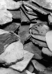 rocks ready to polish.